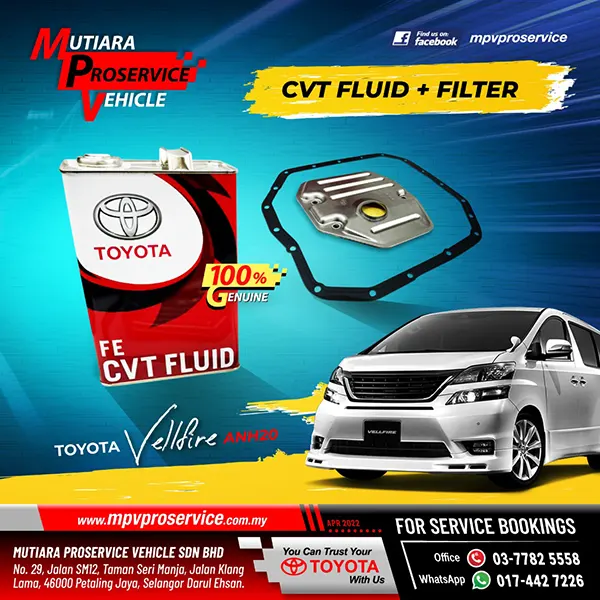 Toyota VCT Fluid and Filter